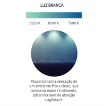 Lâmpada Led Bulbo 15W 6500K Tramontina  Lâmpada Led Bulbo 15W 6500K Tramontina