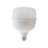 Lampada Led Bulbo 50W Branco 6500K LL-1205 LedBee LB50B