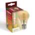 Lampada Led VIintage Bulbo A60 4W 2400K Bivolt Ourolux